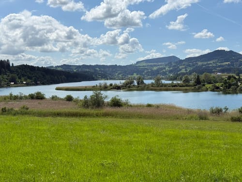 Rund um den Niedersonthofener See