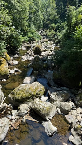 Albsteig Schwarzwald Etappe 1: Albbruck – Görwihl