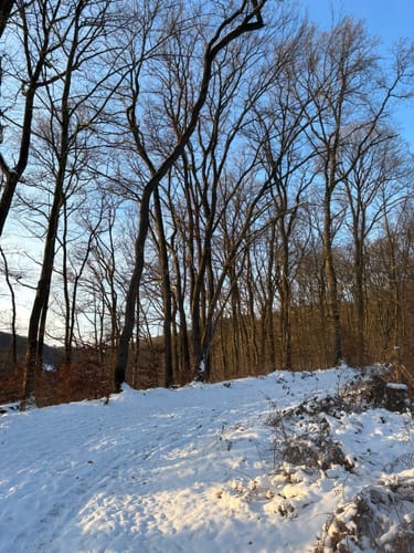 Dreitälerweg (Blankenberg)