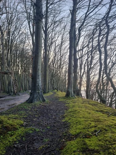 Märchenwald Rügen - Strand Rundweg