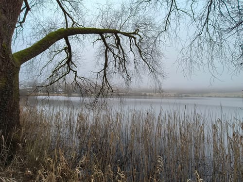 Weinfelder Maar - Mäuseberg - Schalkenmehrener Maar