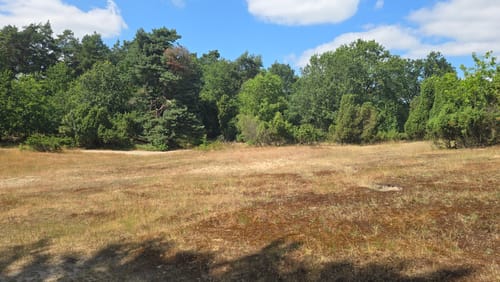 Westruper Heide und Halterner Stausee Rundweg