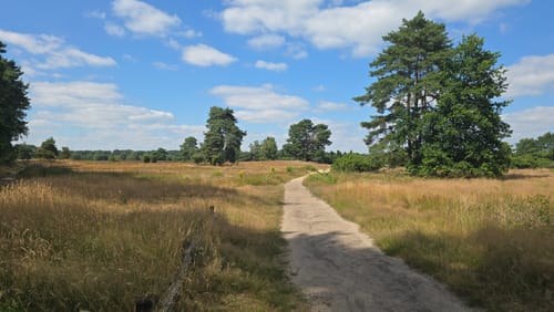 Westruper Heide und Halterner Stausee Rundweg