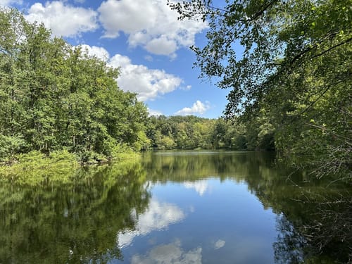 Enkheimer Ried
