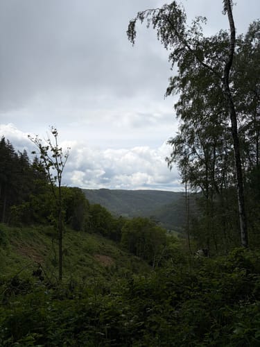 Felspassagen an der Rur