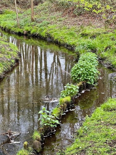 Nette-Seen (Premiumwanderweg)