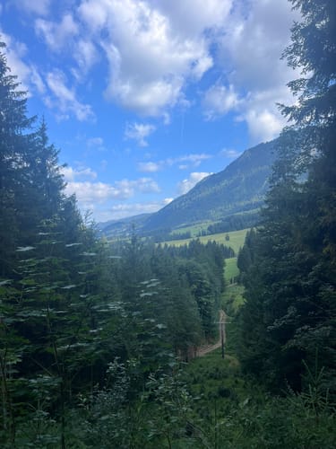 Auf der Höhe - Köpfle - Schrecksee - Jägerhaus
