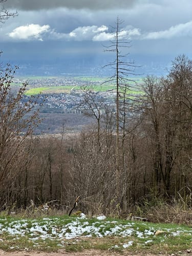 Altkönig ab Schwalbach am Taunus