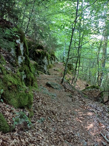 Schloss Arnsberg und Arndthöhle Rundweg