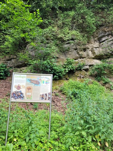 VitalWanderWelt - Südlicher Sachsenring Bad Driburg