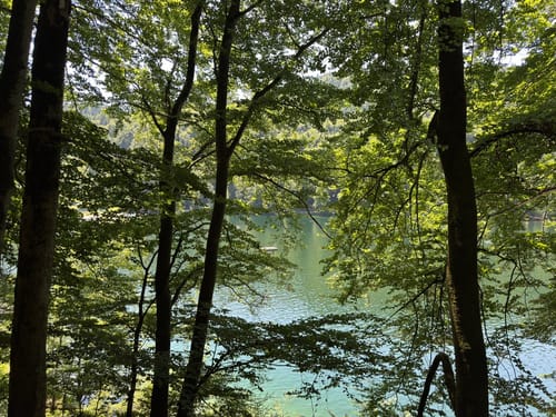 Hechtsee - Längsee - Prillsee