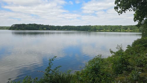 Westruper Heide und Halterner Stausee Rundweg