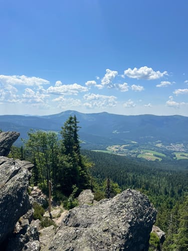 Osser-Riesen-Steig (La03)