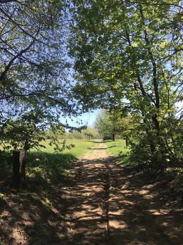 Neuseser Fernblick (Premiumspazierwanderweg)