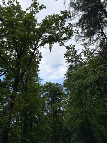 Runde um Berghausen