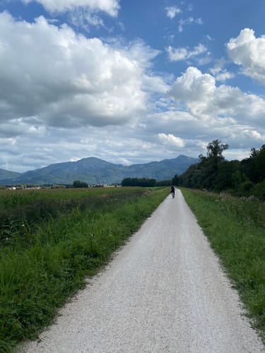 Chiemsee Rundweg