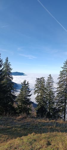 Rund ums Feichteck