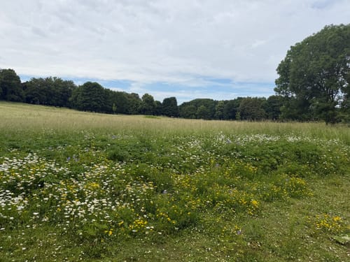 Volksgartenweg und Deichsee