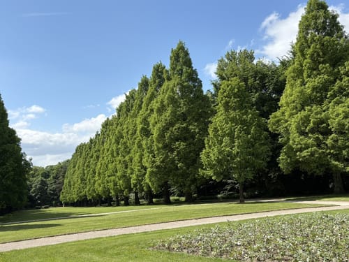 Auf gräflichen Spuren in der Löchterheide