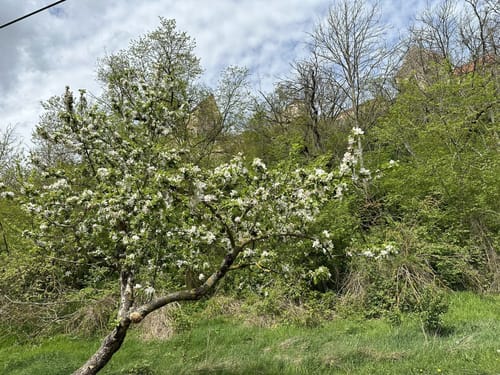 Goseck-Eulau Rundweg