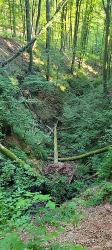 Von der Stockwaldhütte durch die Kälberklamm und die Hexenklamm