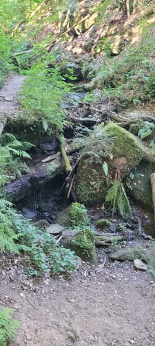Von der Stockwaldhütte durch die Kälberklamm und die Hexenklamm