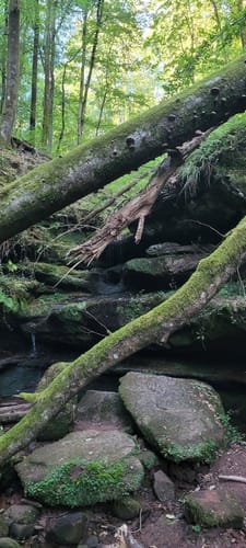 Von der Stockwaldhütte durch die Kälberklamm und die Hexenklamm