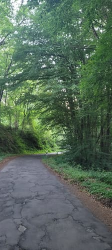 Von der Stockwaldhütte durch die Kälberklamm und die Hexenklamm