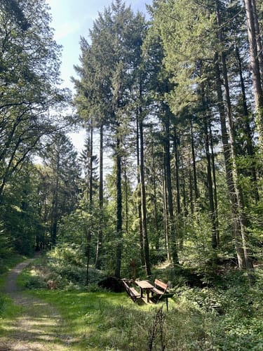 Wanderweg bei Nordenstadt