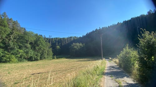 Durch das Eschachtal und über Burg Rotenstein