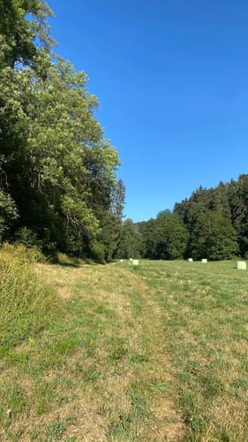Durch das Eschachtal und über Burg Rotenstein