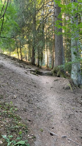 Durch das Eschachtal und über Burg Rotenstein