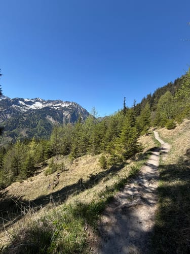 Von Hinterstein zum Wildfräuleinstein
