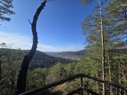 Wald-Erlebnisweg Schindhard