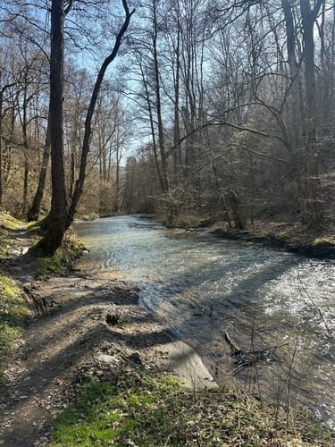 Pyrmonter Felsensteig (Traumpfad)