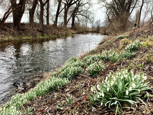 Rund um den Kronthaler Weiher