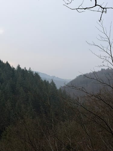 Oberbieber - Rengsdorf