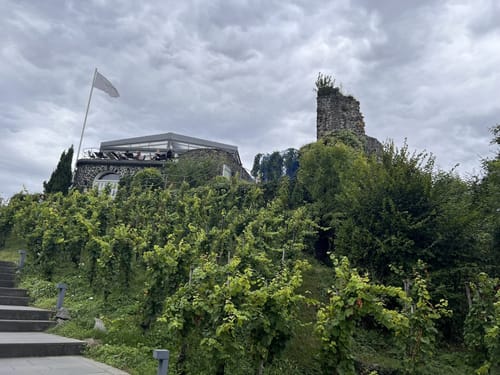 Oberwinter Rundwanderweg 2: Rolandseck um den Rodderberg