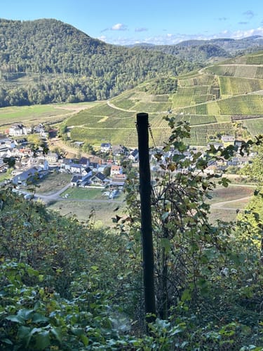 Dernau - Rech Rundwanderung