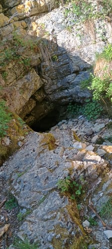 Oberleinleiter: Großer Tümmler und Heroldsstein
