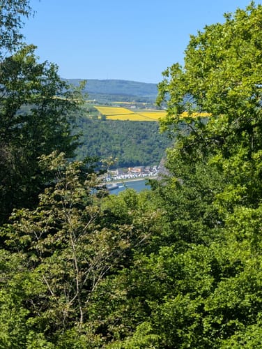 Loreley-Extratour (Premiumwanderweg)