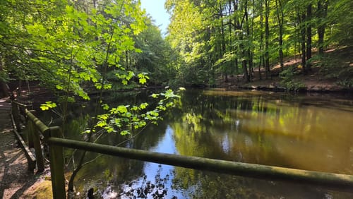 Durch den Aplerbecker und Schwerter Wald