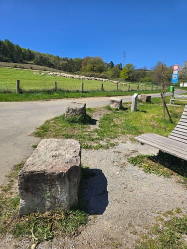 Aar-Höhenweg Etappe 1: Orlen - Bad Schwalbach
