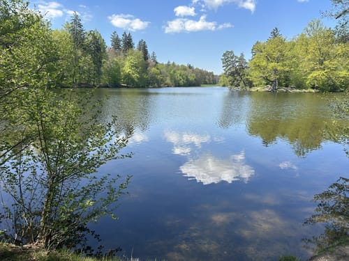 Bärensee Rundweg im Stuttgarter Rotwildpark
