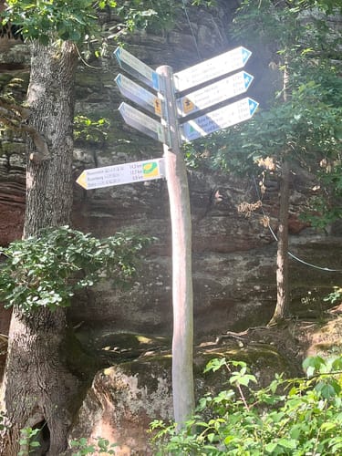 Dahner Felsenpfad (Premiumwanderweg)