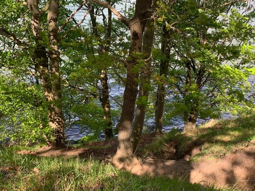 Plauer See und Pätschseen Runde