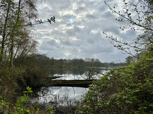 Nette-Seen (Premiumwanderweg)