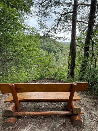 Über Kahles Höhe und entlang der Freilichtbühne nach Ammerbach