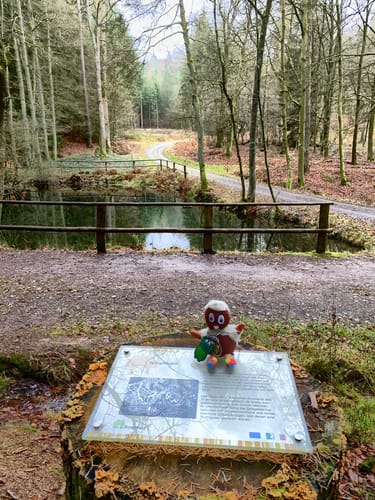 Burgwaldpfad (Fernwanderweg)