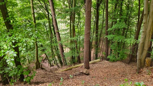 Zu den Heidenhöhlen und über Burgtal